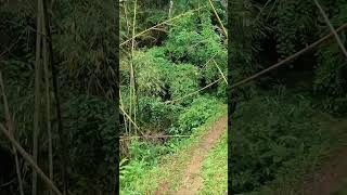 থানচি টু রুমা | পাহাড় নদীর এক মায়াবী সফর 🏞️#ThanchiRuma #BangladeshHillTracks #TravelAddict