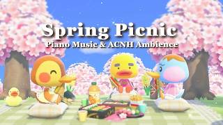 【あつ森BGM】お花見弁当を楽しむ春のピクニック🍱🌸／作業用・勉強用・睡眠用BGM／ピアノ音楽