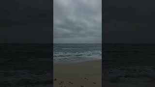 Carmel Beach - tumi brishti cheyeso bole #travel #sea #waves #carmelbytheriver #mahtimshakibsong