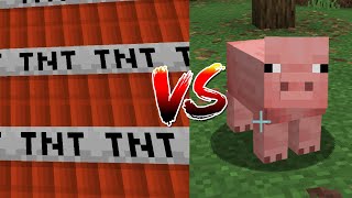 500 TNT VS PIG
