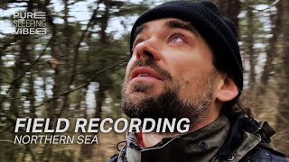 Behind the Scenes - Field Recording at the Northern Sea | Pure Sleeping Vibes