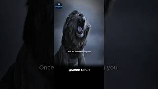 WTF Lion cub changed into Beast 💀🥶 | #shorts #sigma #edit #lion