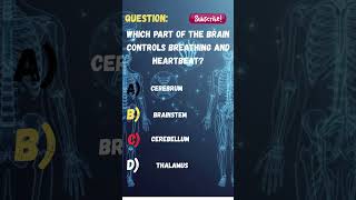 Which Part of the Brain Controls Breathing and Heartbeat? 🧠💓 #shorts  #quiz