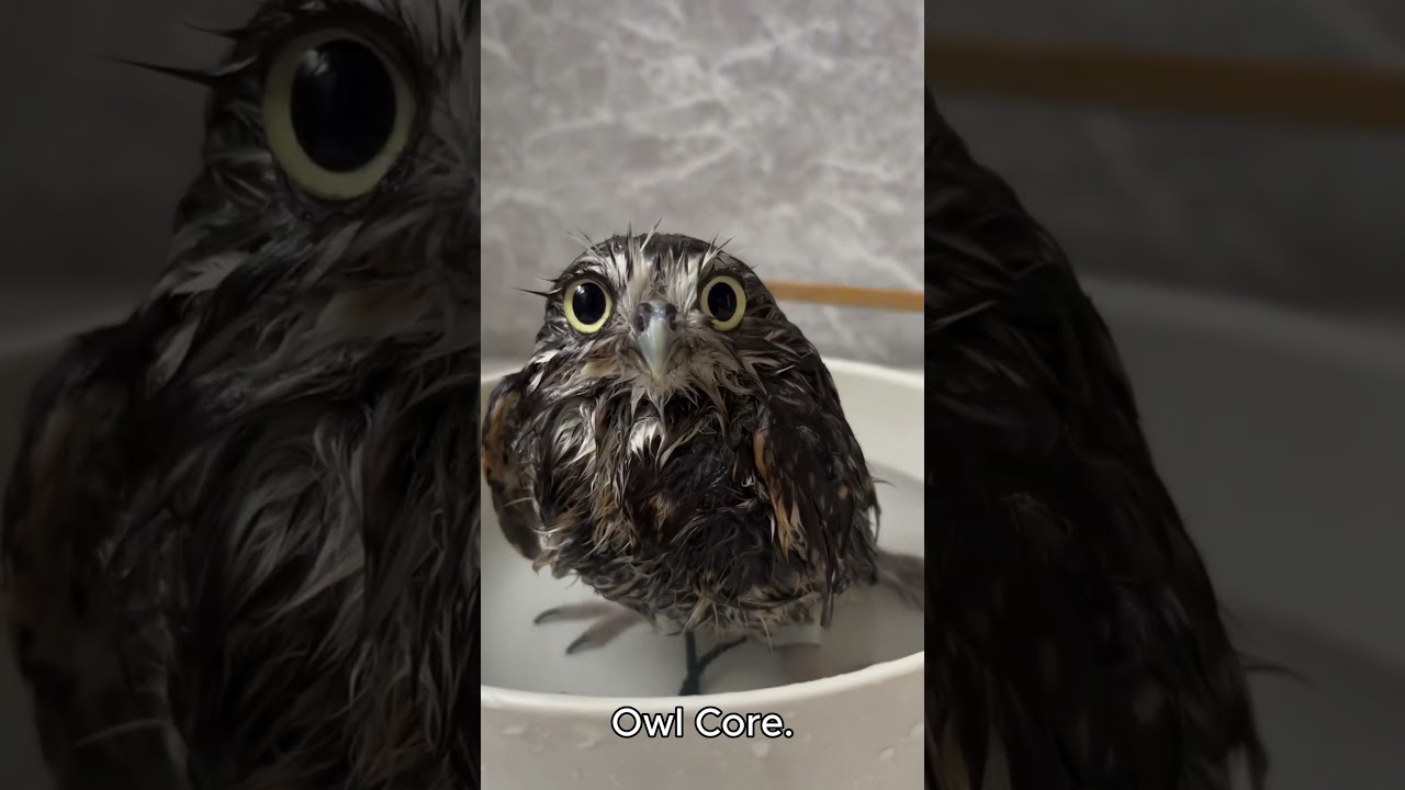 サムネ