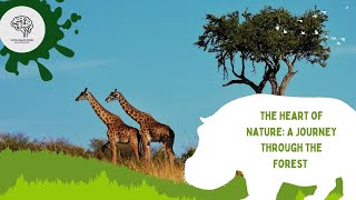 The Heart of Nature: A Journey Through the Forest