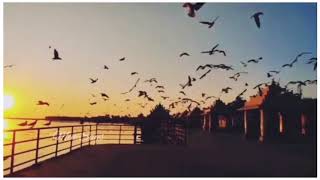 #staus song #whatsapp status🖤