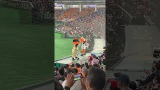 ジャビットファミリー