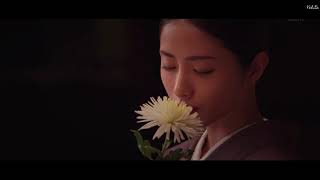 하렘의 남자들 이시하라 사토미 ver