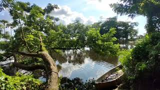 #peace #শান্তি