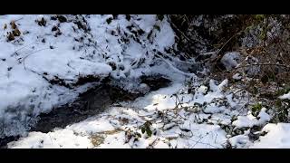 Small Frozen Stream