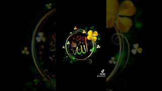 26 November 2023