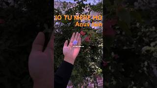 Jo Tu Mere Ho(Best Part) By Anuv Jain