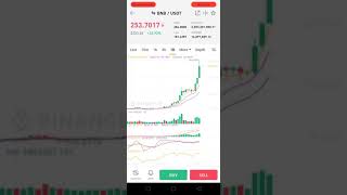 BNB Coin on rise again - why ?