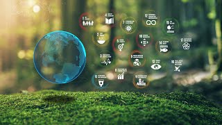 Sustainability: What does it have to do with career development?
