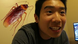 BIGGEST COCKROACH EVER