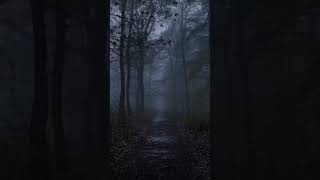 #barulhodechuvaparadormir #barulhodechuvapararelaxar