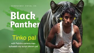 Hollywood movie dubbed in Hindi /black panther/ trailer/