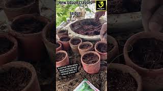 New udaan classes jaipur  5