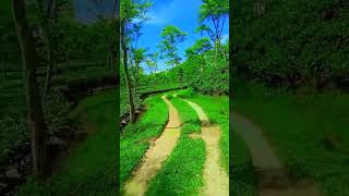#banglamoviesong #banglasong #andrew_kishore #banglavideosong