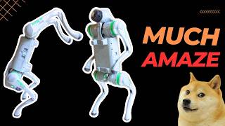 I tried EVERY function of this robot dog