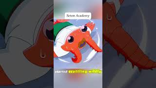 This is a school where humans and animals coexist. #anime #animetoons #animecartoon