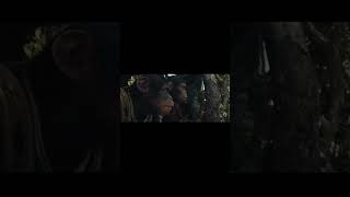 Animal monkey King #trendingshorts #viralvideo #animals
