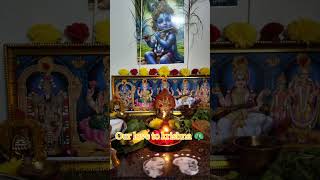 🪷✨krishna Janmashtmi pooja at home ✨🪷#krishna #pooja#tamilculture#festivevibes#trend #trendingshorts