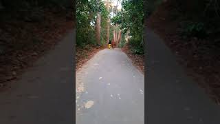 Shorts// safari park/ সাফারি পার্ক