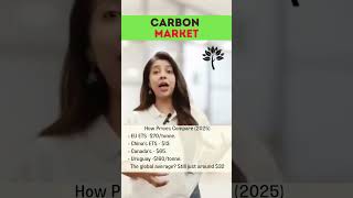 China vs EU vs India: Who’s Winning the Carbon Pricing Race? #CarbonMarkets