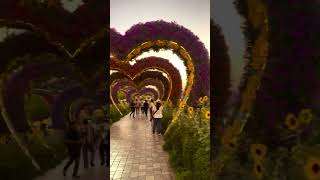 Beautiful Garden #ScenicBeauty #beautifuldestinations #beautifulgardenflowers