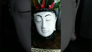 Planters , pots ,seeds etc , All ceremic items #shorts #ytshort #instagram #planters #ceremic