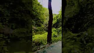 সবাই একটু সাপট করবেন #raju_mondol #ytshorts #song #lovesongs #vairal #banglapop #duet
