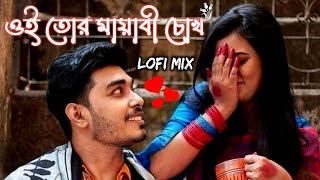 Oi Tor Mayabi Chokh Kajol Hoye Jabo💞|| [Slowed & Reverb] || Bangal lofi song || Rd music zone