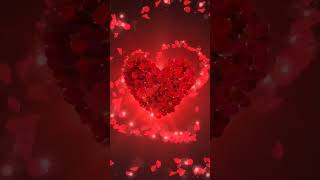 Heart Rose 🌹🌹