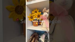 Mini vlog and Jelly Cat! 🫧🧸🪁#seasideoregon #oregoncoast #jellycat #shorts