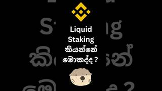Normal Staking සහ Liquid Staking | HAEDAL #binance