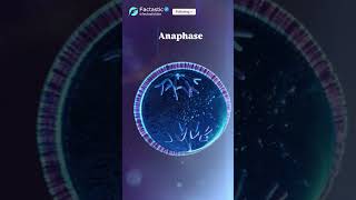 Tiny Cells, Big Drama