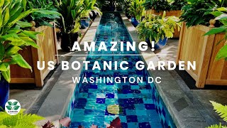 Explore the Magic of the United States Botanic Garden!