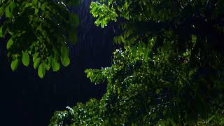Rain in the Still Night – Perfect Background for Sleeping