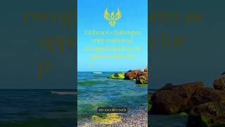 Embrace challenges