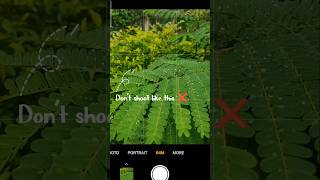 Nature Macro Photo | Mobile Photography #youtubeshorts #shorts