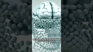 five facts you never hard about #trendingnow #facts #informationalvedio #science #amazingfacts