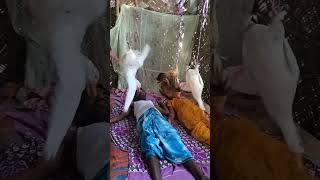 পছন্দ গরম #bangla_new_song #funny #viralvideo  #tiktokvideo #arfin_nisho #bangla_chaya_chobi_song