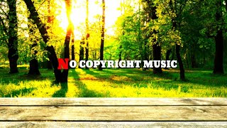 free background music for youtube // no copyright music ||vlog no copyright music #nocopyrightmusic