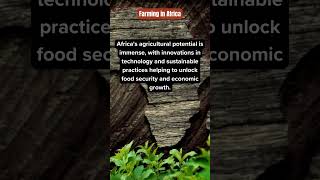 🌍 Farming in Africa: The Heart of Food and Sustainability 🌱