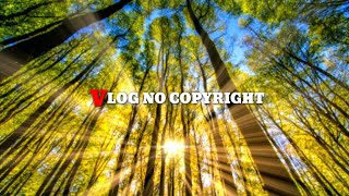 vlog no copyright music // vlog background music non copyrighted // non copyright music #vlogmusic