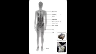 ArcanoScan Micro Dose MDSC