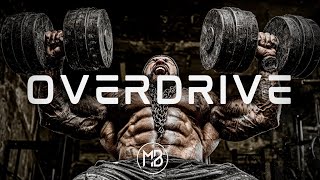 【プレイリスト】「偉大さに到達するまで鍛えろ」💪 最強ジムワークアウトEDM 60分音楽 👊