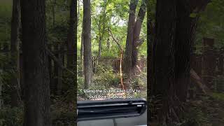 Using the #cubcadet UTV to pull down a dead tree. #hisun #utvlife lansingautomart.org