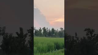 Gao me swagat hai #villagelife #travel #indiavillage #reallifevillage #uttarpradeshvillagelife